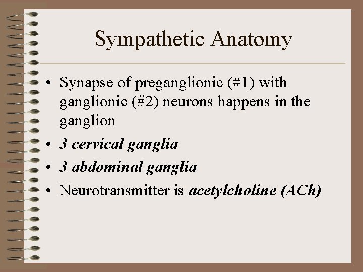 Sympathetic Anatomy • Synapse of preganglionic (#1) with ganglionic (#2) neurons happens in the