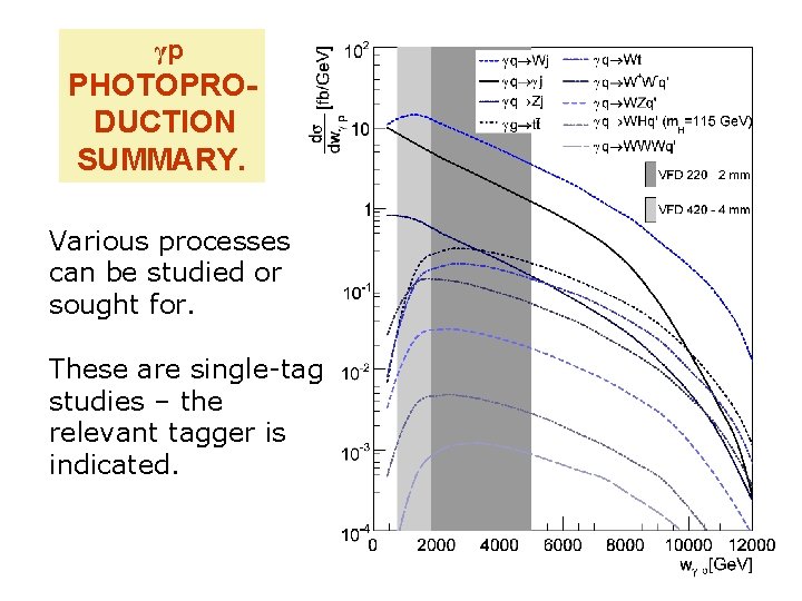 γp PHOTOPRODUCTION SUMMARY. Various processes can be studied or sought for. These are single-tag