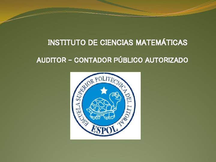 INSTITUTO DE CIENCIAS MATEMÁTICAS AUDITOR – CONTADOR PÚBLICO AUTORIZADO 