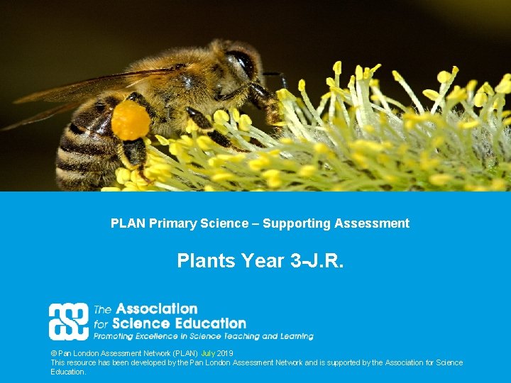 PLAN Primary Science – Supporting Assessment Plants Year 3 -J. R. © Pan London