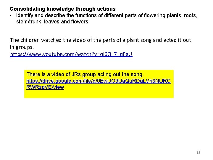 Consolidating knowledge through actions • identify and describe the functions of different parts of