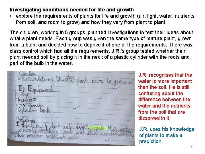 Investigating conditions needed for life and growth • explore the requirements of plants for