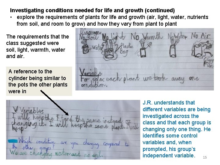 Investigating conditions needed for life and growth (continued) • explore the requirements of plants