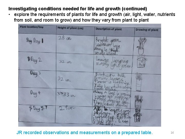 Investigating conditions needed for life and growth (continued) • explore the requirements of plants