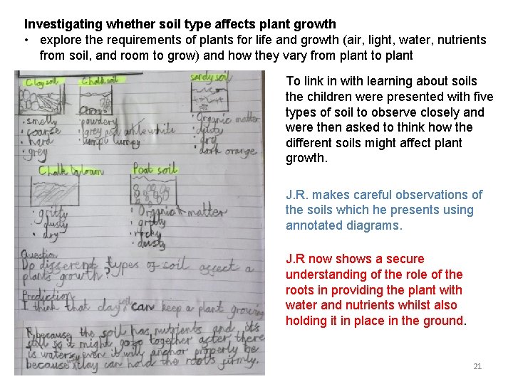 Investigating whether soil type affects plant growth • explore the requirements of plants for