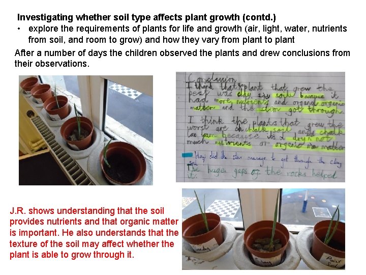 Investigating whether soil type affects plant growth (contd. ) • explore the requirements of