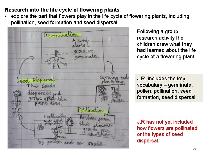 Research into the life cycle of flowering plants • explore the part that flowers