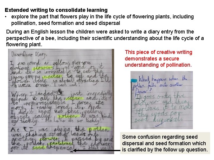 Extended writing to consolidate learning • explore the part that flowers play in the