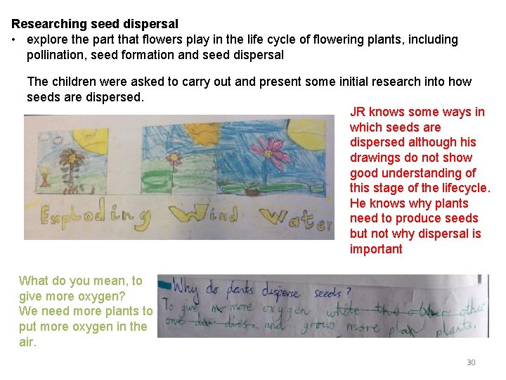 Researching seed dispersal • explore the part that flowers play in the life cycle