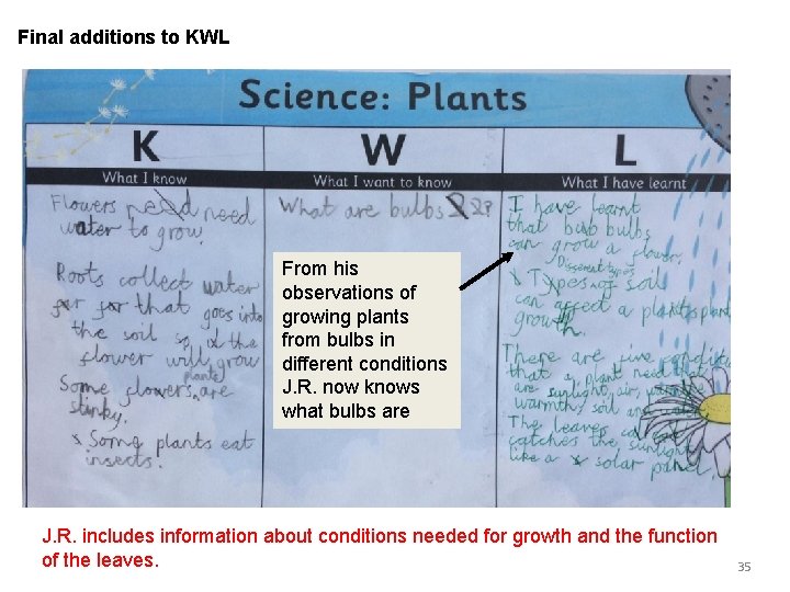 Final additions to KWL From his observations of growing plants from bulbs in different