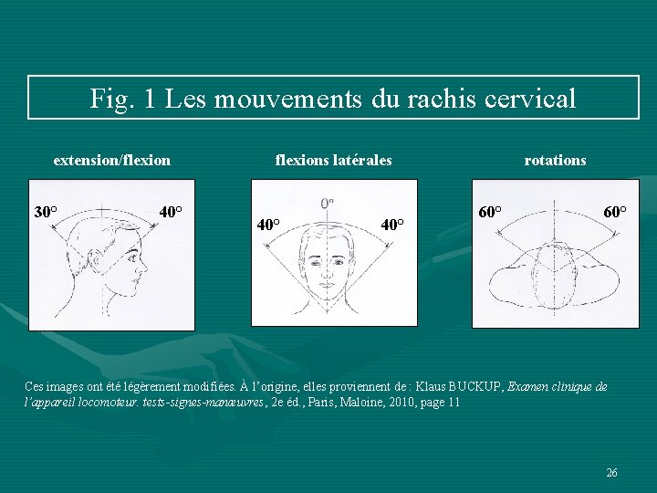 Fig. 1 Les mouvements du rachis cervical extension/flexion 30° 40° flexions latérales 40° rotations