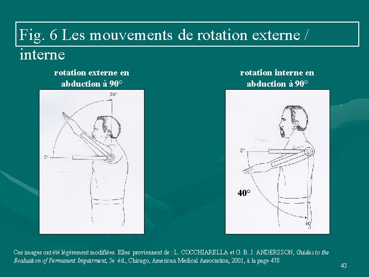 Fig. 6 Les mouvements de rotation externe / interne rotation externe en abduction à