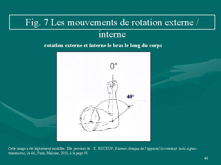 Fig. 7 Les mouvements de rotation externe / interne rotation externe et interne le
