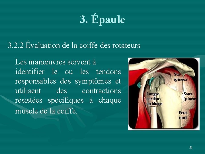 3. Épaule 3. 2. 2 Évaluation de la coiffe des rotateurs Les manœuvres servent