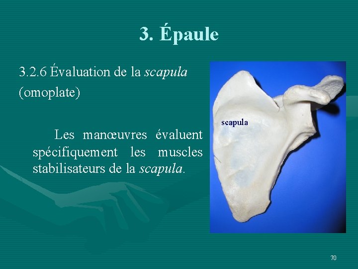 3. Épaule 3. 2. 6 Évaluation de la scapula (omoplate) Les manœuvres évaluent scapula