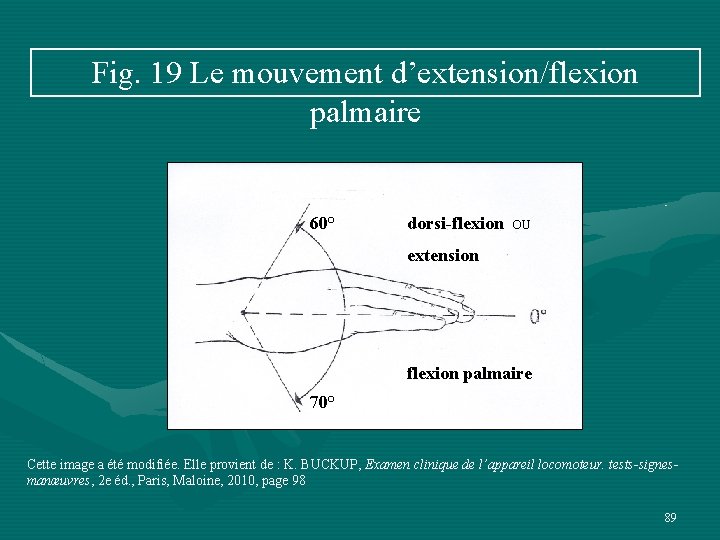 Fig. 19 Le mouvement d’extension/flexion palmaire 60° dorsi-flexion OU extension flexion palmaire 70° Cette