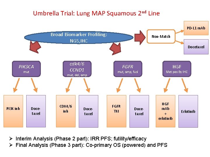 Umbrella Trial: Lung MAP Squamous 2 nd Line PD-L 1 m. Ab Broad Biomarker