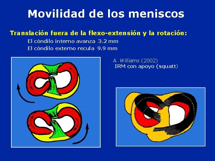 Movilidad de los meniscos Translación fuera de la flexo-extensión y la rotación: El cóndilo