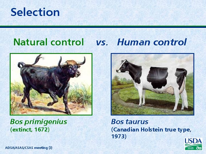 Selection Natural control Bos primigenius (extinct, 1672) ADSA/ASAS/CSAS meeting (3) vs. Human control Bos
