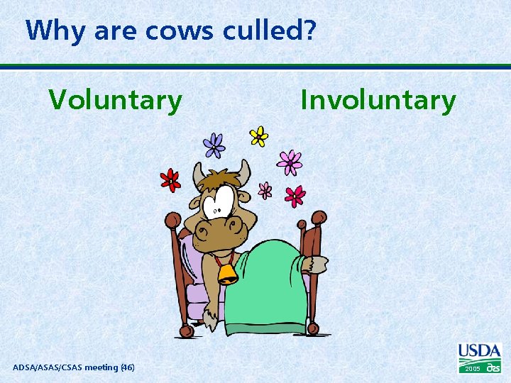 Why are cows culled? Voluntary ADSA/ASAS/CSAS meeting (46) Involuntary 2005 