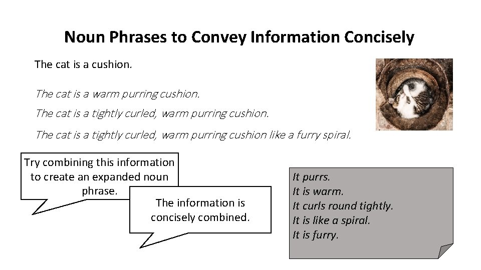 Noun Phrases to Convey Information Concisely The cat is a cushion. The cat is