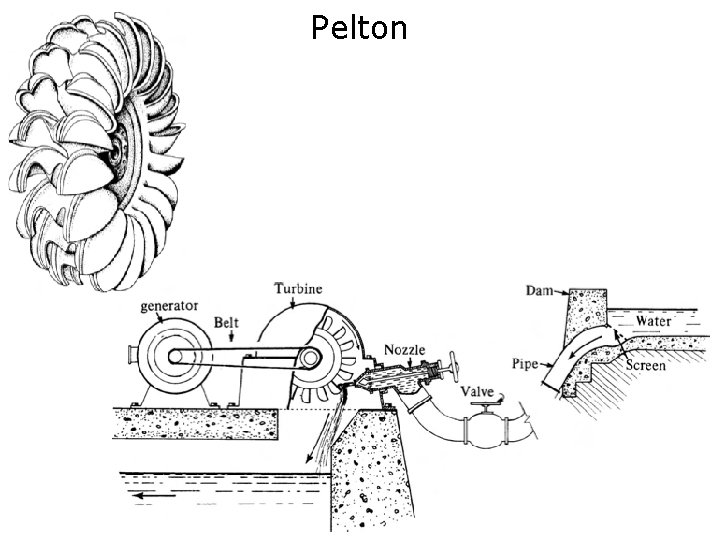 Pelton 