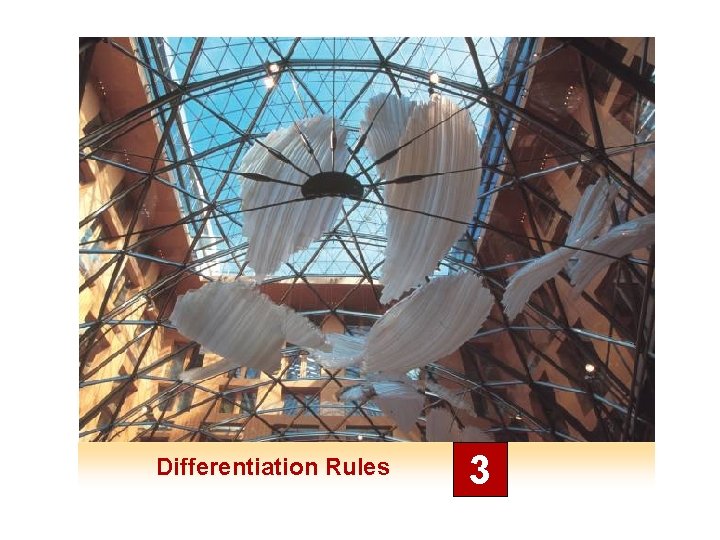 Differentiation Rules 3 Differentiation Rules 3