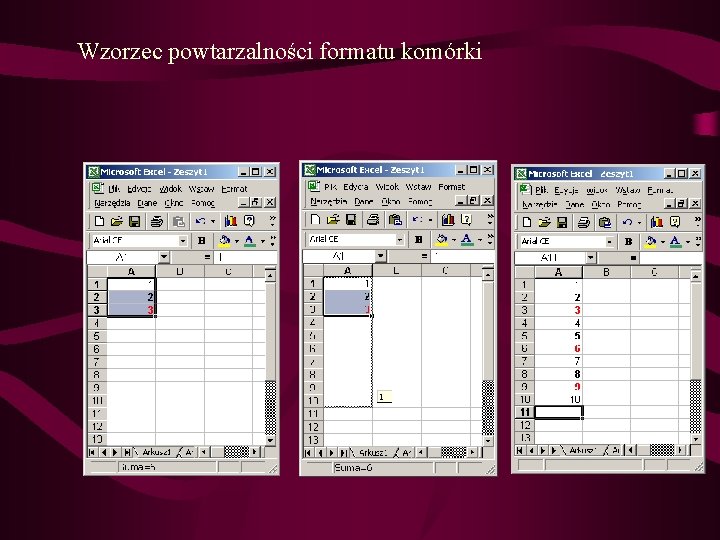 Wzorzec powtarzalności formatu komórki 