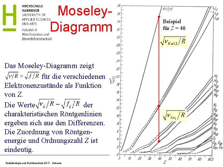 Moseley. Diagramm Beispiel für Z = 40 Das Moseley-Diagramm zeigt für die verschiedenen Elektronenzustände