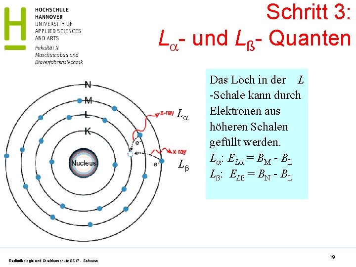 Schritt 3: L - und Lß- Quanten a L a a L Radioökologie und