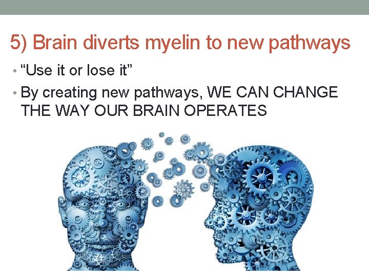 5) Brain diverts myelin to new pathways • “Use it or lose it” •