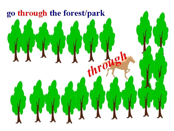 go through the forest/park r h t h g ou 