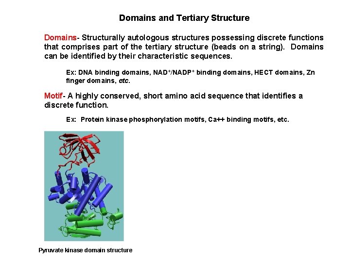 Domains and Tertiary Structure Domains- Structurally autologous structures possessing discrete functions that comprises part