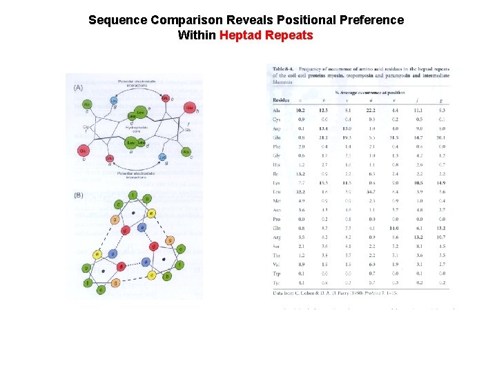 Sequence Comparison Reveals Positional Preference Within Heptad Repeats 