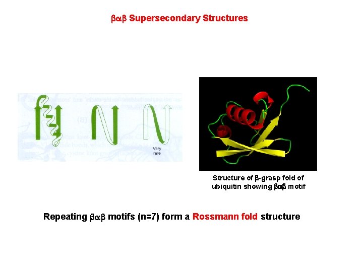  Supersecondary Structures Structure of -grasp fold of ubiquitin showing motif Repeating motifs (n=7)