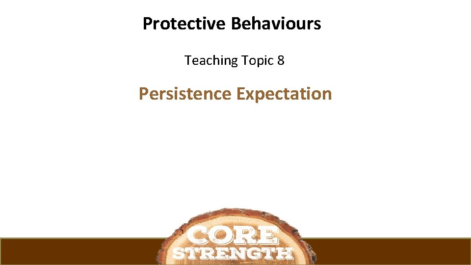 Protective Behaviours Teaching Topic 8 Persistence Expectation 