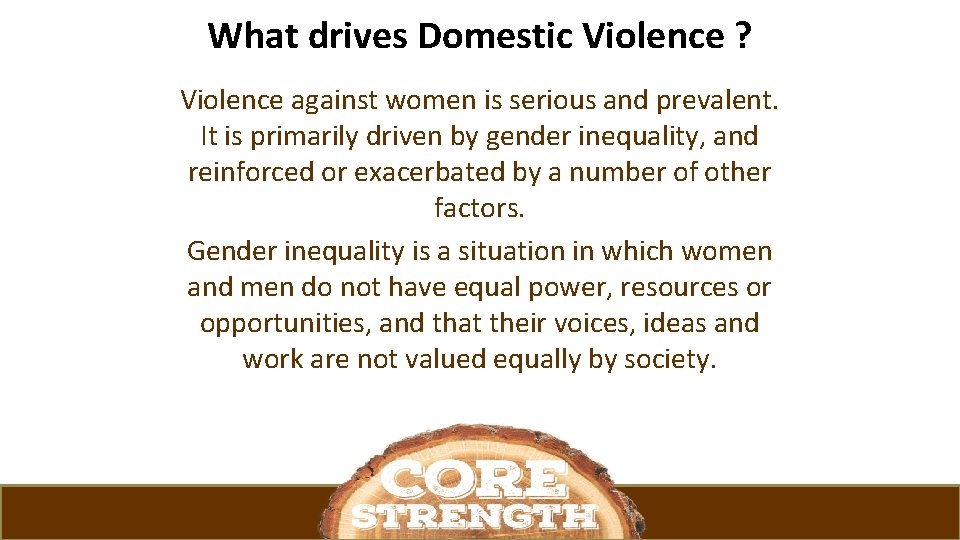 What drives Domestic Violence ? Violence against women is serious and prevalent. It is