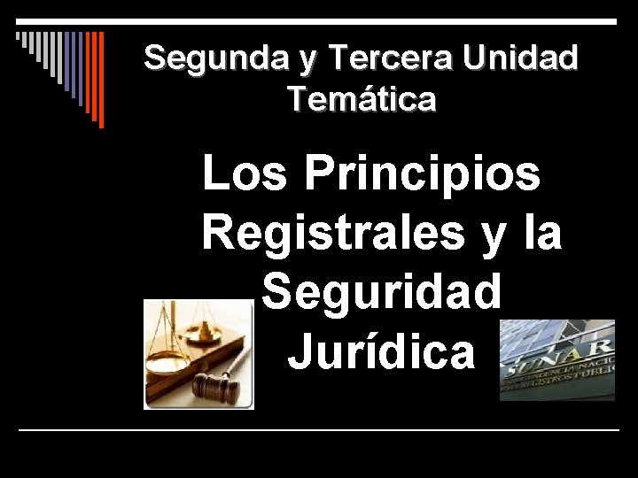Segunda y Tercera Unidad Temática Los Principios Registrales y la Seguridad Jurídica 