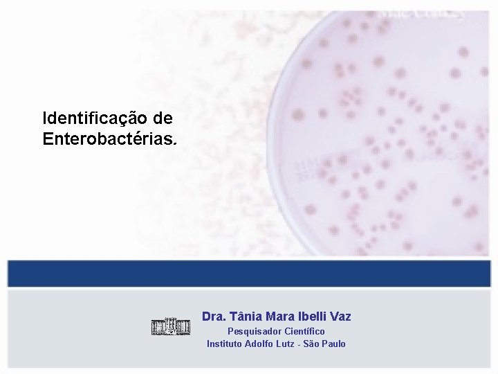 Identificação de Enterobactérias. Dra. Tânia Mara Ibelli Vaz Pesquisador Científico Instituto Adolfo Lutz -