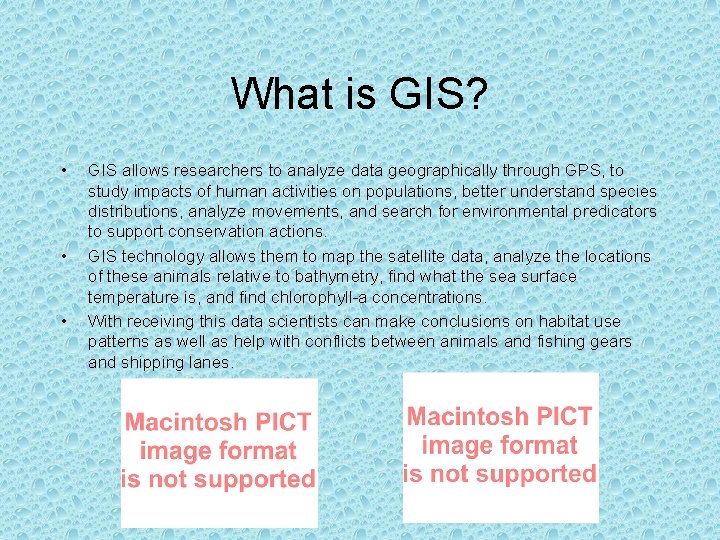 What is GIS? • • • GIS allows researchers to analyze data geographically through