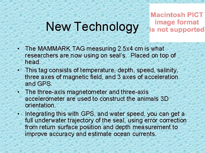 New Technology • The MAMMARK TAG measuring 2. 5 x 4 cm is what
