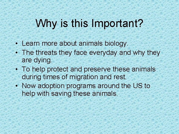 Why is this Important? • Learn more about animals biology. • The threats they