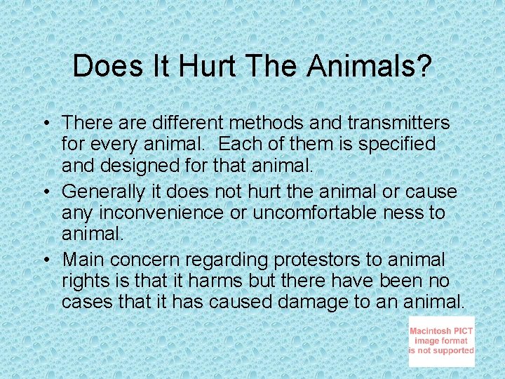 Does It Hurt The Animals? • There are different methods and transmitters for every