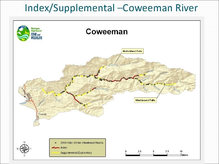 Index/Supplemental –Coweeman River 