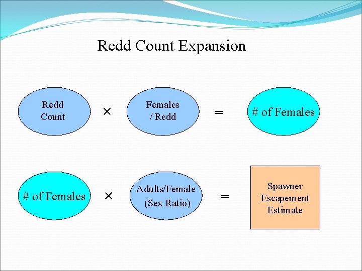 Redd Count Expansion Redd Count # of Females × Females / Redd × Adults/Female