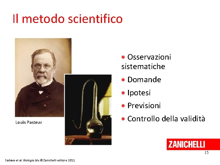 Il metodo scientifico Louis Pasteur Osservazioni sistematiche Domande Ipotesi Previsioni Controllo della validità 15