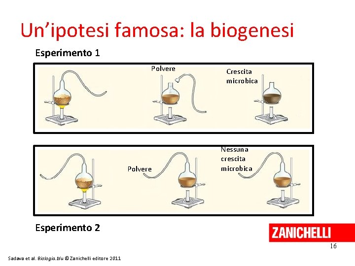 Un’ipotesi famosa: la biogenesi Esperimento 1 Polvere Crescita microbica Nessuna crescita microbica Esperimento 2
