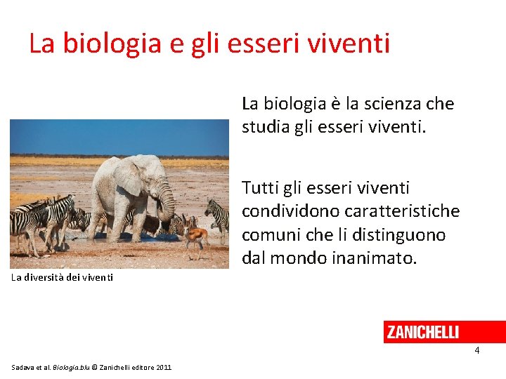 La biologia e gli esseri viventi La biologia è la scienza che studia gli