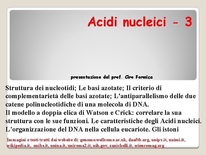 Acidi nucleici - 3 presentazione del prof. Ciro Formica Struttura dei nucleotidi; Le basi