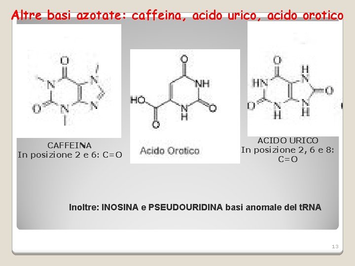 Altre basi azotate: caffeina, acido urico, acido orotico CAFFEINA In posizione 2 e 6: